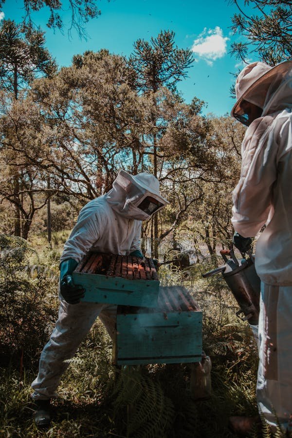 Votre boutique en ligne d'apiculture : tout pour les apiculteurs professionnels et amateurs