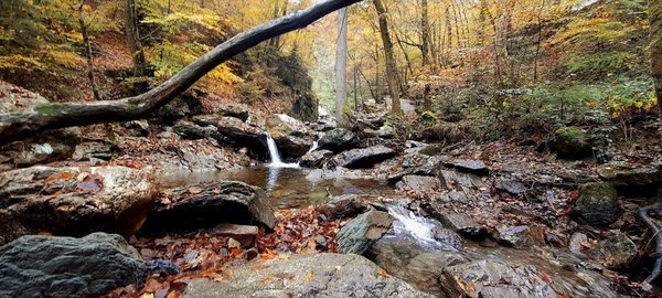 Comment choisir une chaudière à condensation pour un rendement énergétique optimal ?